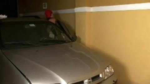 fine Sex In A Garage