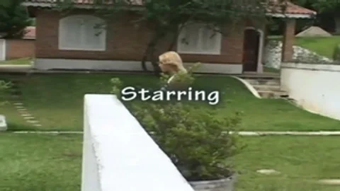 tranny skank receives plowed On The Grass