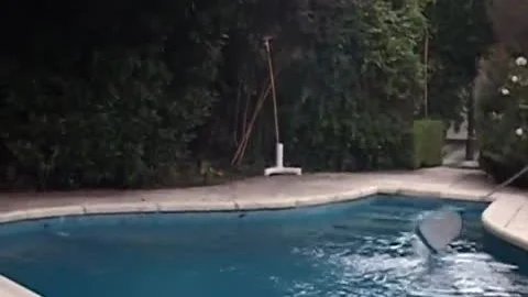 painfully blond And Redhead strumpets banging while dude Is Watching them