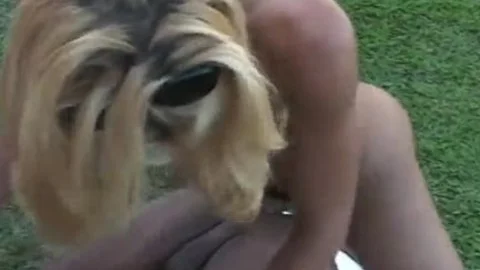 Two gay dudes And sheboy Lisa Lawer outdoors pounding Each Others ass Holes
