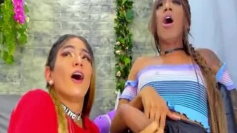 dilettante Brazilian Transgender Real Horse Stick & friend