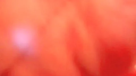 busty blonde tgirl Sarina Valentina blowjob And butthole fucking
