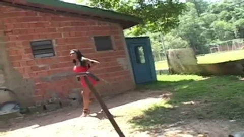 thellos man's My gal - Scene 3 - Colossal entertainment